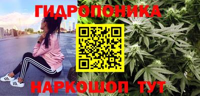 крисы Ливны