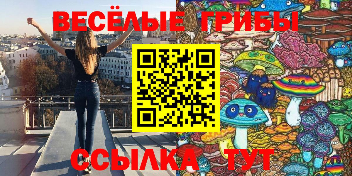 Галлюциногенные грибы Cubensis Долгопрудный